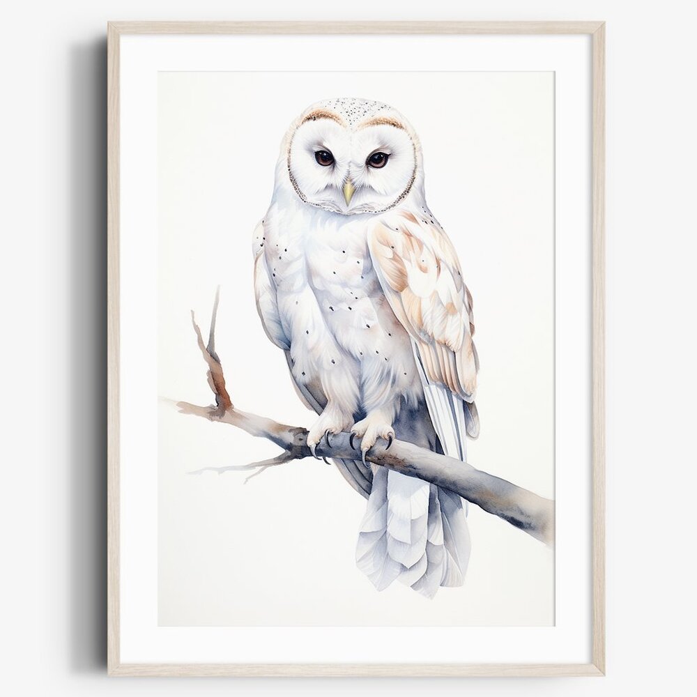 Watercolor White Owl Portrait Wall Art Illustration Print Poster Unframed